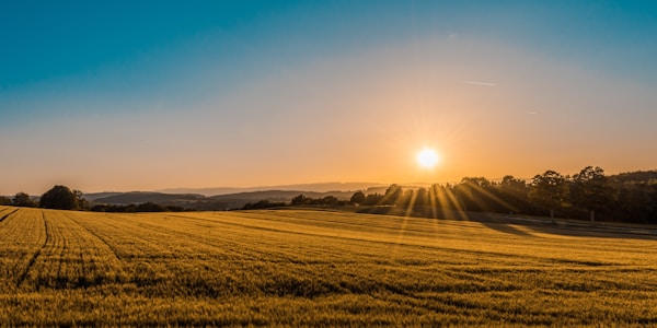 Agriculture field